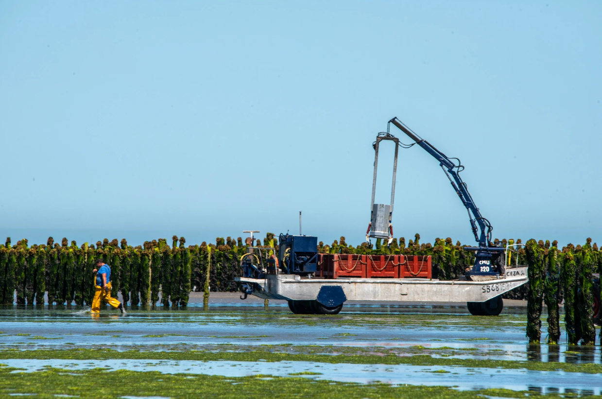 Photo d'un bateau.